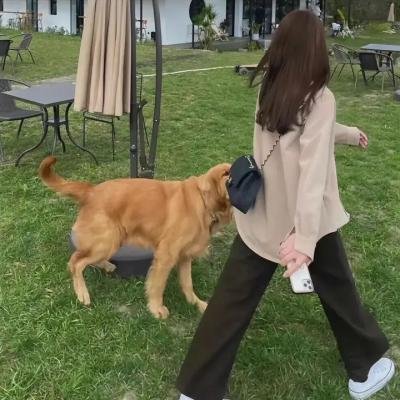 追爱四人行